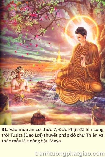 Lịch Sử Phật Thích Ca Mâu Ni Phật (1423)